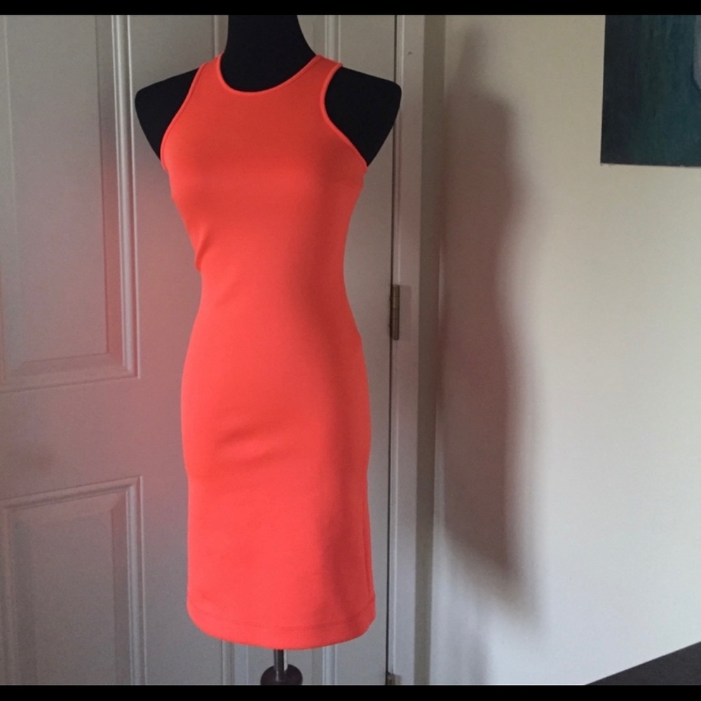 Coral Clover Canyon Dress
